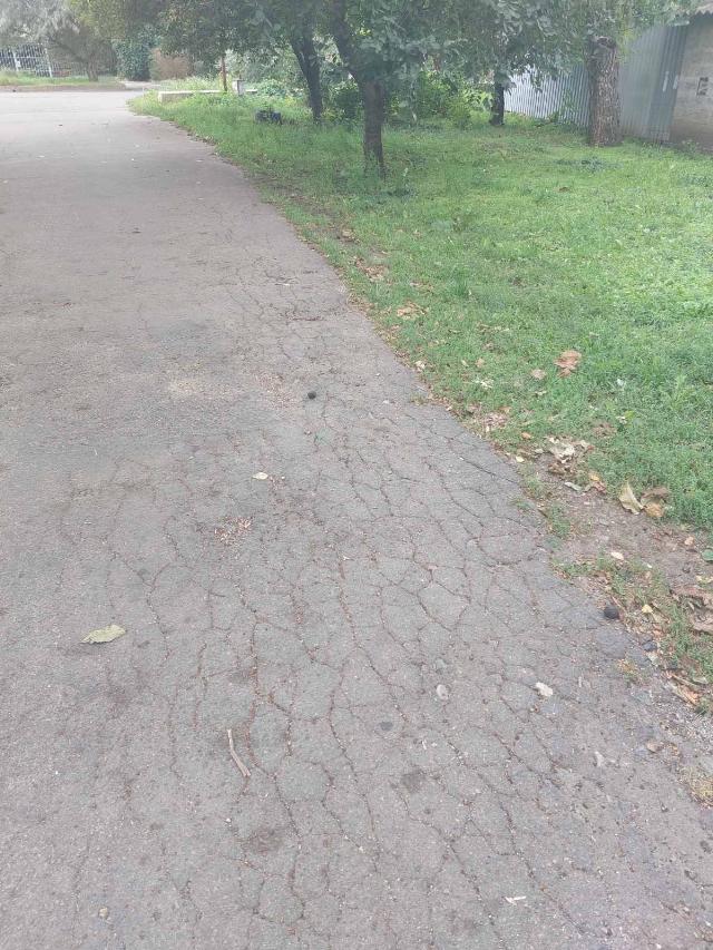 https://photo.capital.com.ua/foto_d/d5501852102.jpg