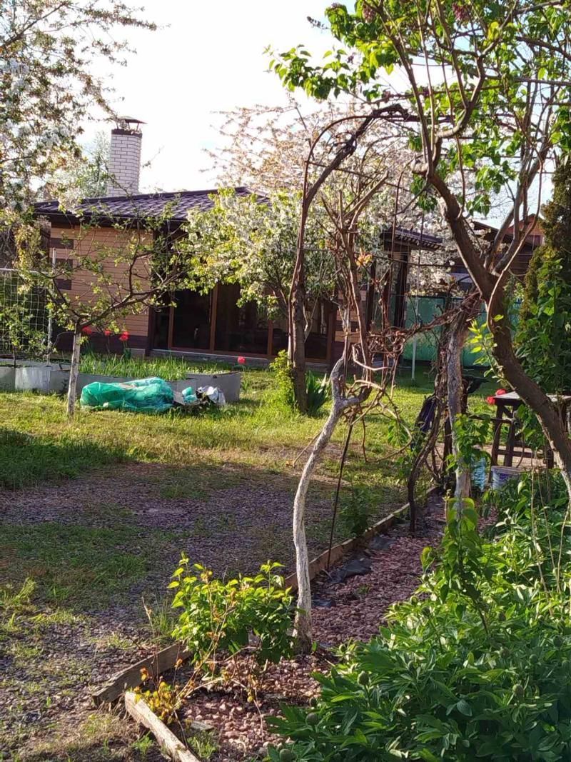 https://photo.capital.com.ua/foto_d/d550311700007010.jpg