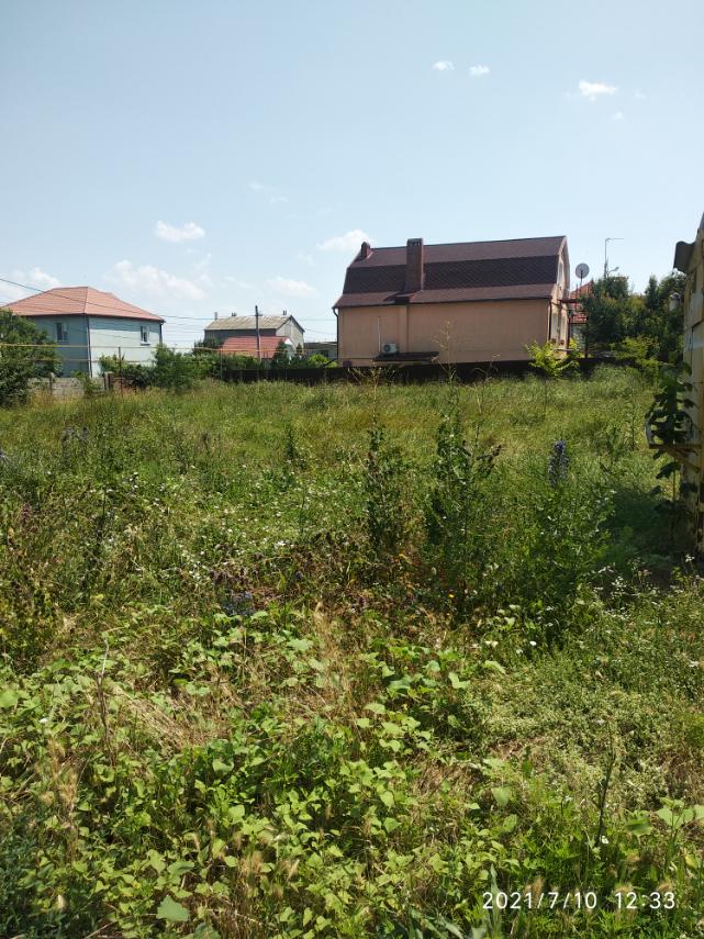 https://photo.capital.com.ua/foto_d/d55031308305.jpg