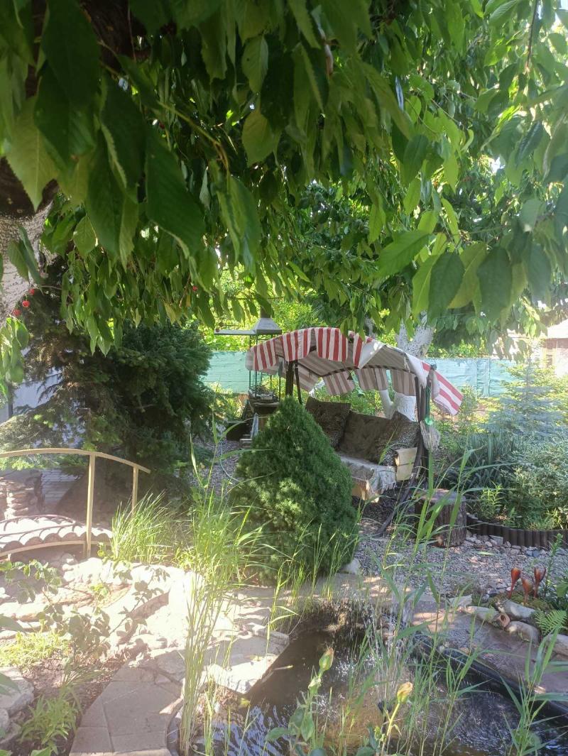 https://photo.capital.com.ua/foto_d/d55031308501.jpg