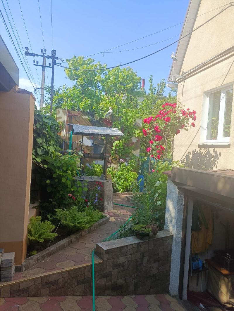 https://photo.capital.com.ua/foto_d/d55031308517.jpg