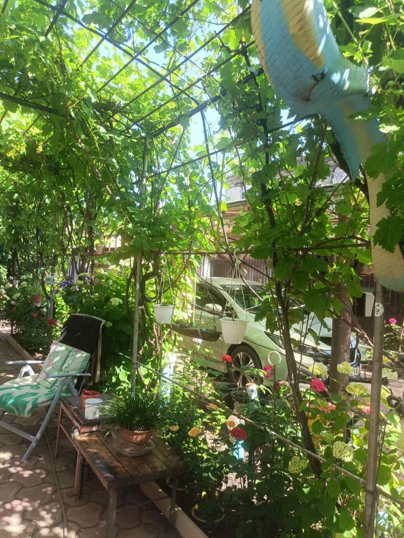 https://photo.capital.com.ua/foto_d/d55031308519.jpg
