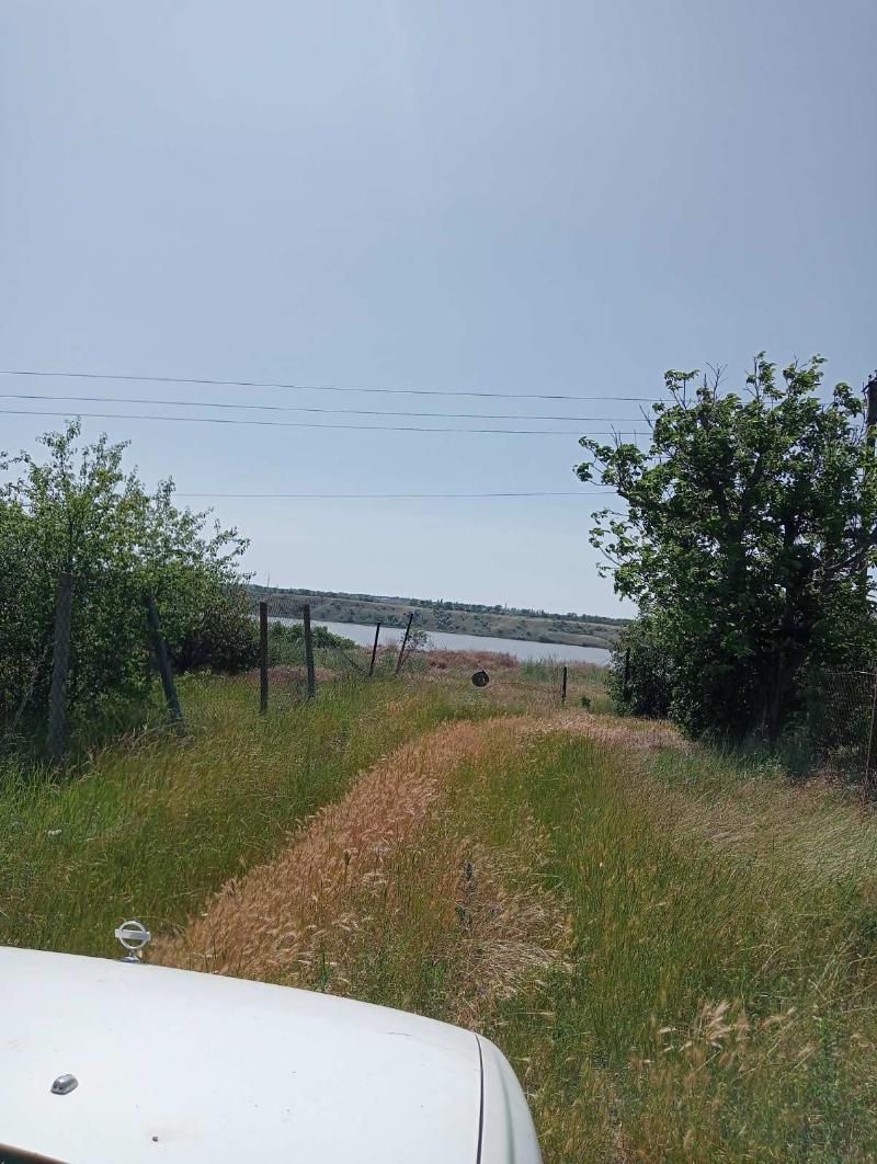 https://photo.capital.com.ua/foto_d/d55031308701.jpg