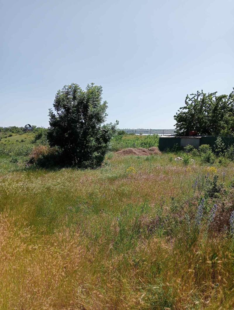 https://photo.capital.com.ua/foto_d/d55031308702.jpg