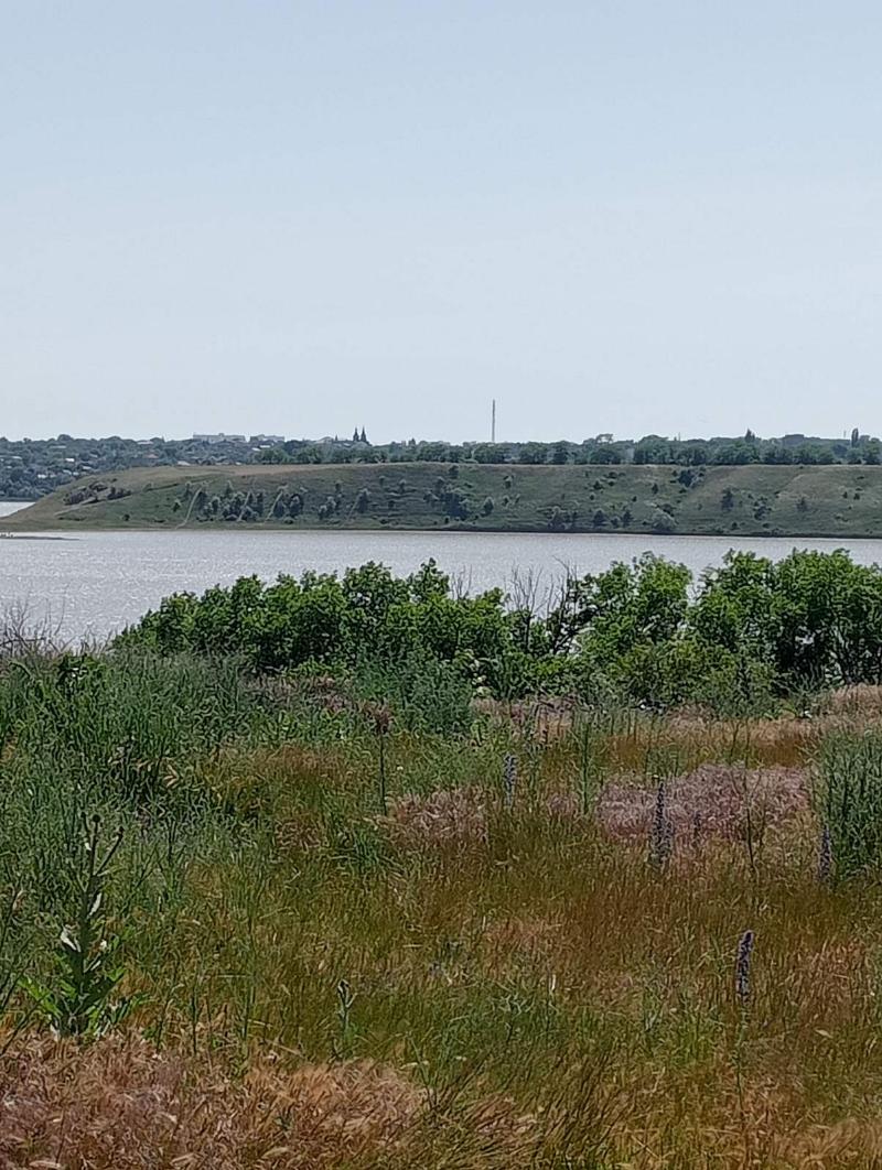 https://photo.capital.com.ua/foto_d/d55031308716.jpg