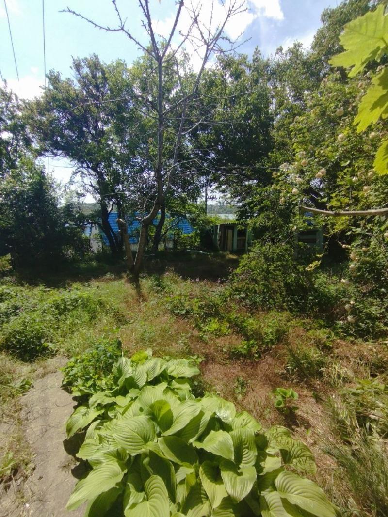 https://photo.capital.com.ua/foto_d/d55031309008.jpg