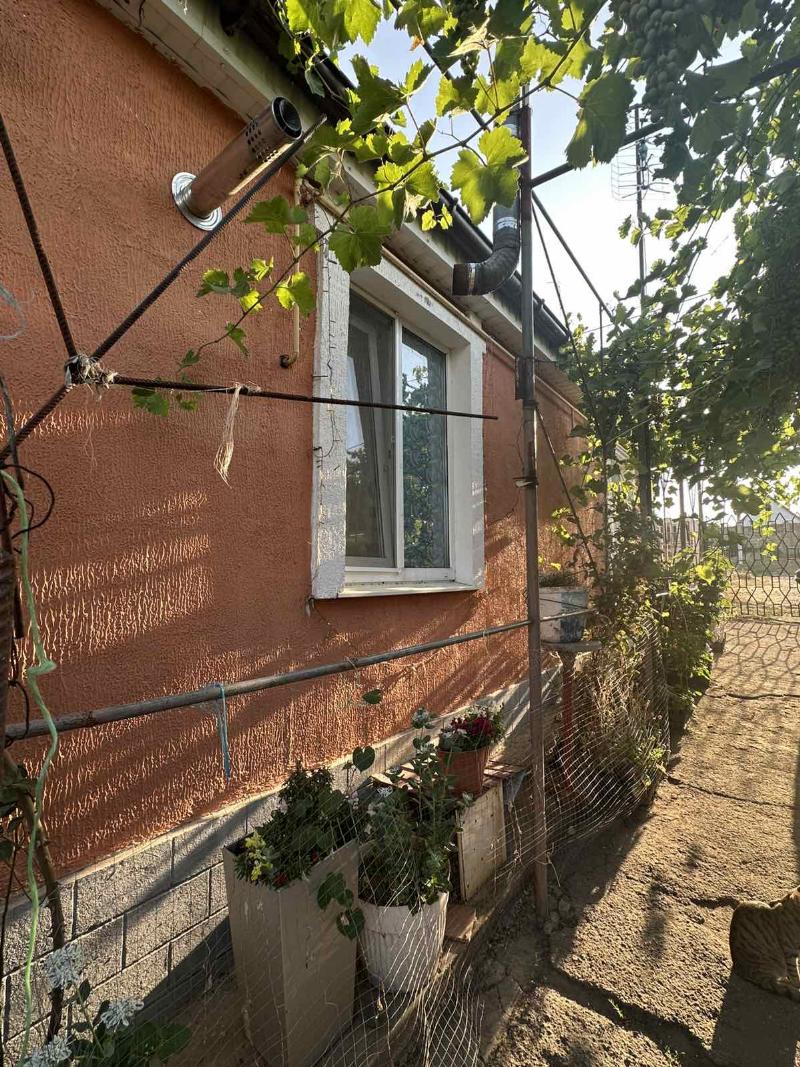 https://photo.capital.com.ua/foto_d/d55031309712.jpg