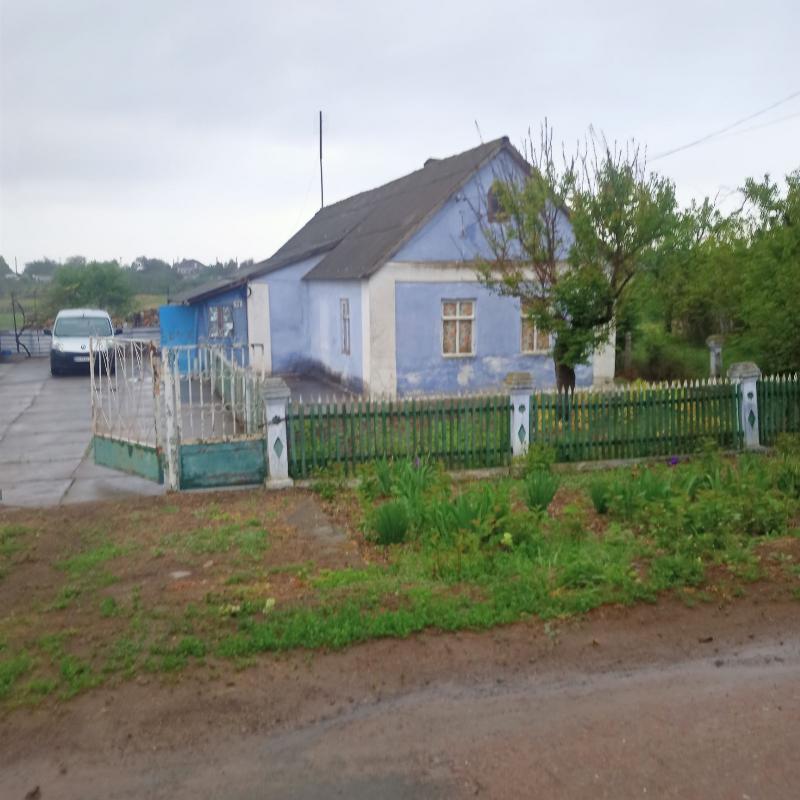 https://photo.capital.com.ua/foto_d/d55031309907.jpg