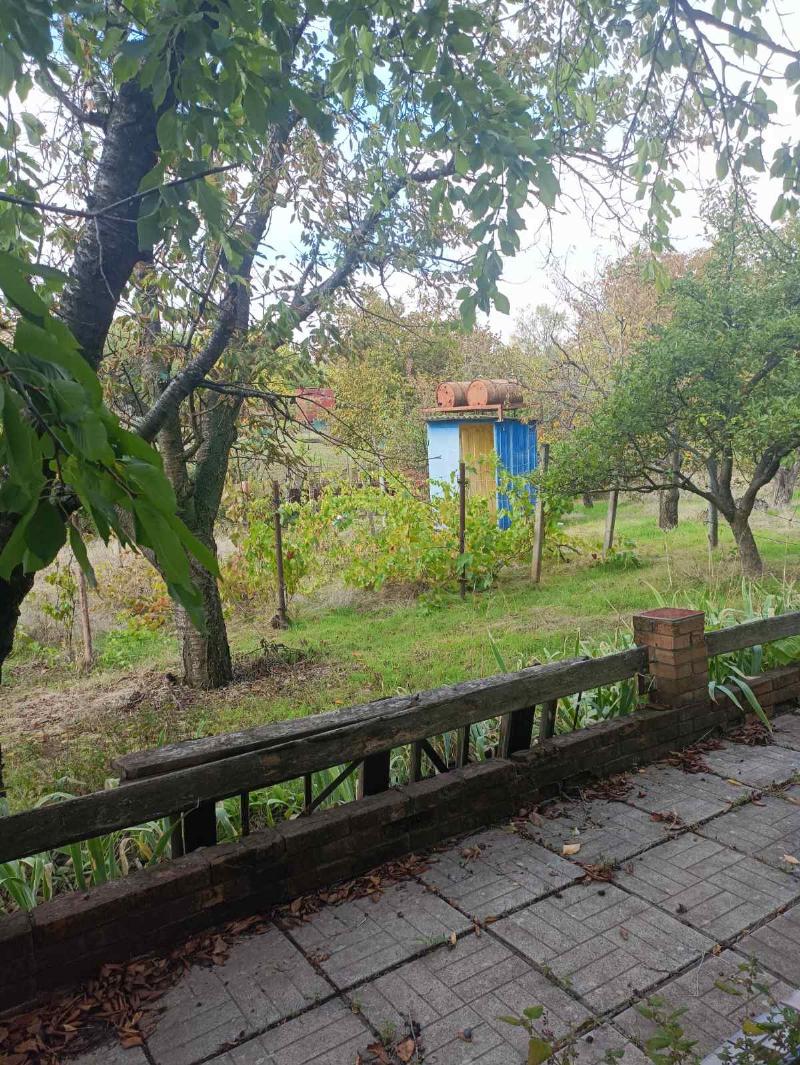https://photo.capital.com.ua/foto_d/d55031310515.jpg