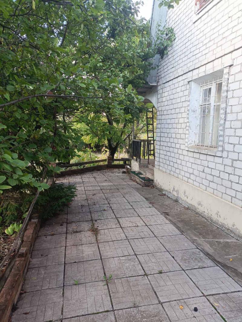 https://photo.capital.com.ua/foto_d/d55031310516.jpg