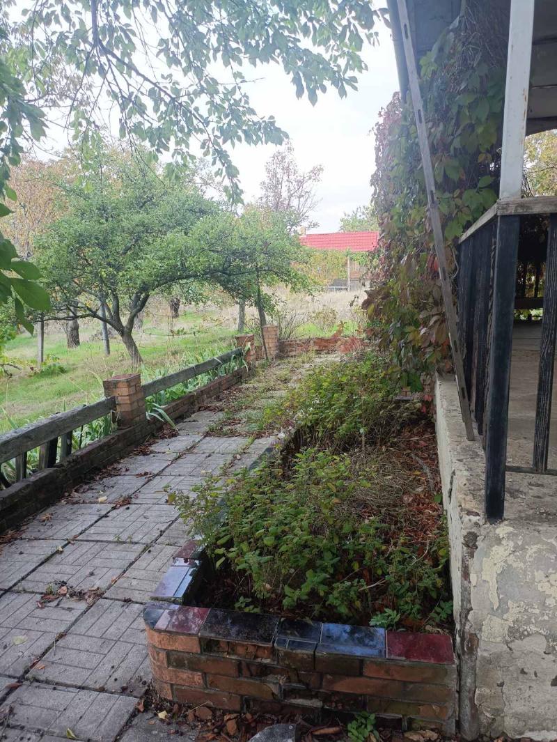 https://photo.capital.com.ua/foto_d/d55031310517.jpg