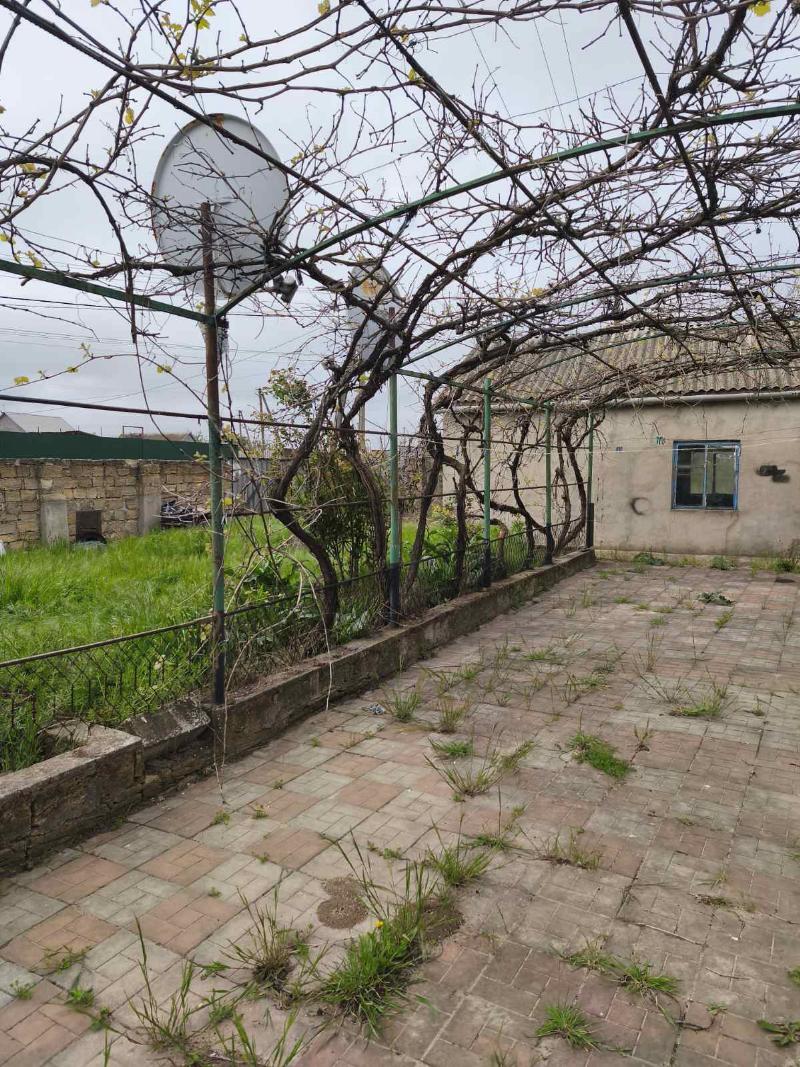 https://photo.capital.com.ua/foto_d/d55031312906.jpg