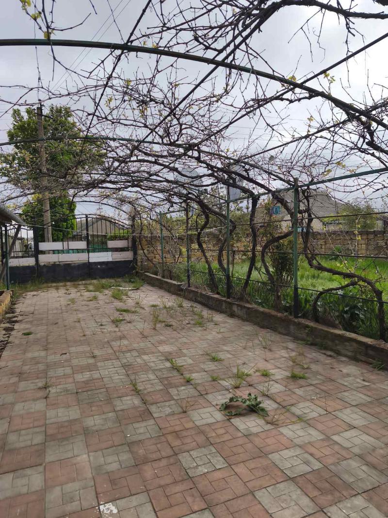 https://photo.capital.com.ua/foto_d/d55031312908.jpg