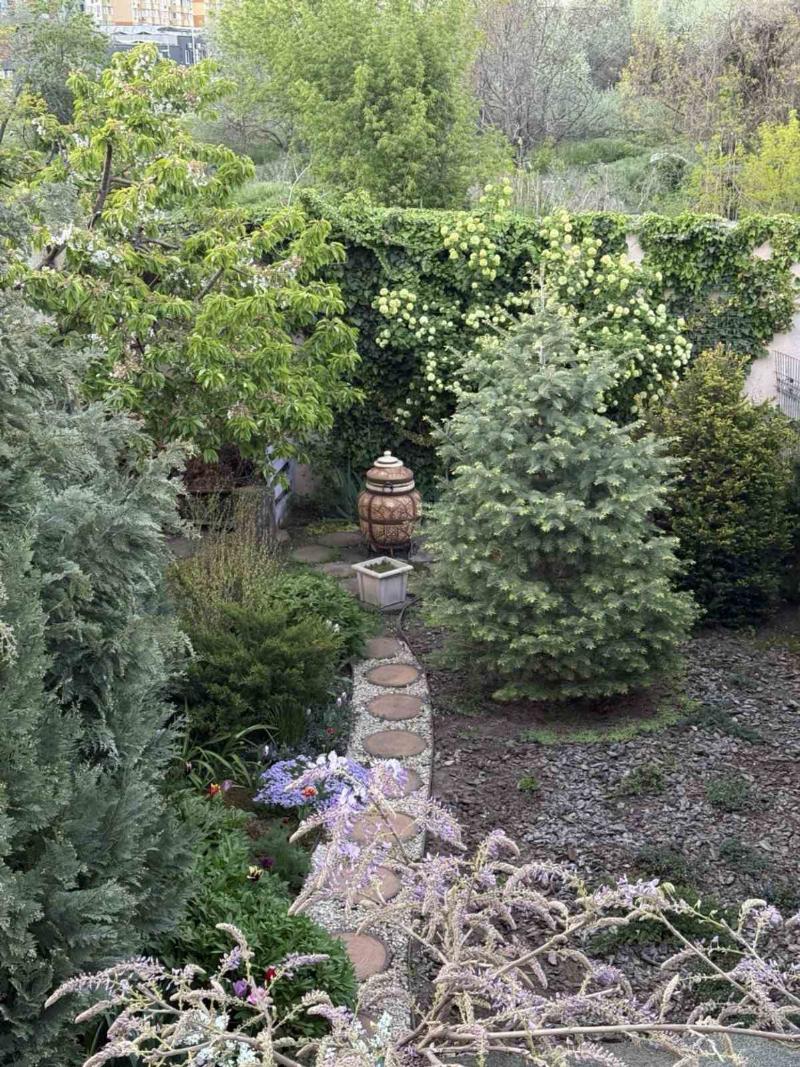 https://photo.capital.com.ua/foto_d/d55031313015.jpg