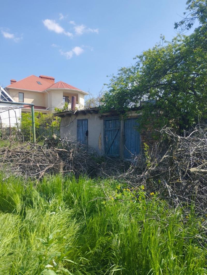 https://photo.capital.com.ua/foto_d/d55031313210.jpg