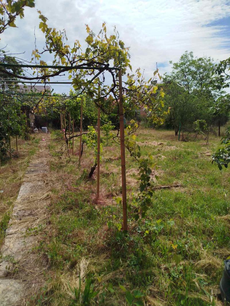 https://photo.capital.com.ua/foto_d/d55031313605.jpg