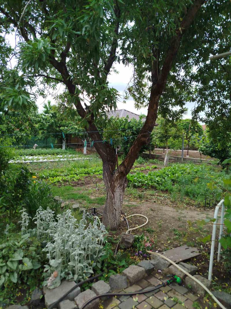 https://photo.capital.com.ua/foto_d/d55031313702.jpg