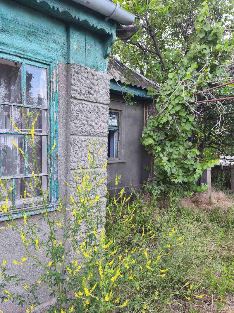 https://photo.capital.com.ua/foto_d/d55031314212.jpg