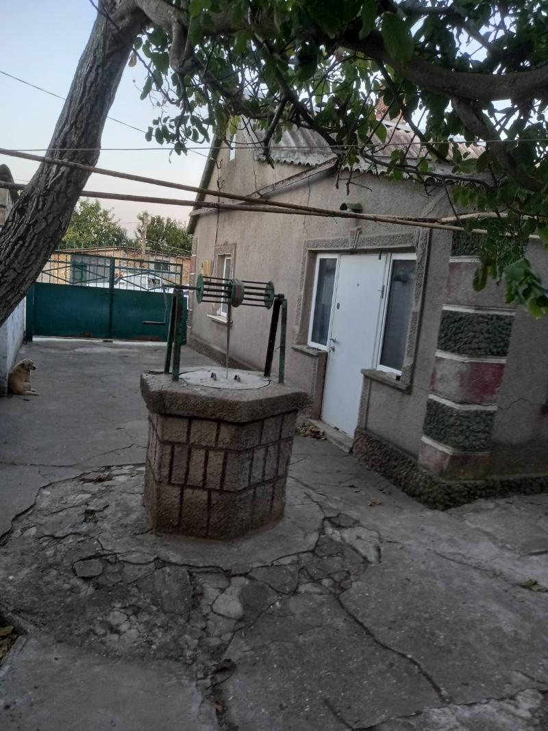https://photo.capital.com.ua/foto_d/d55031314612.jpg