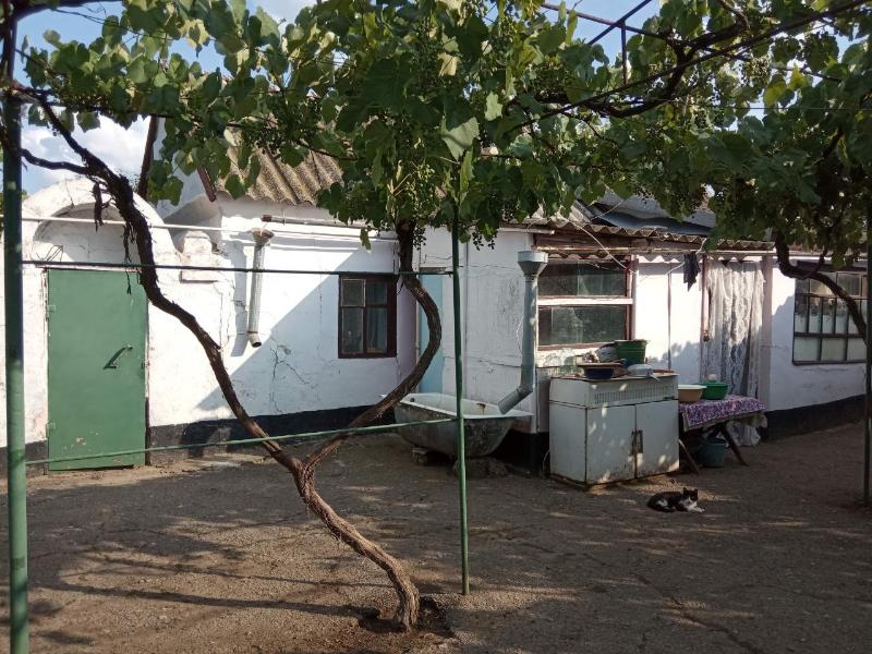 https://photo.capital.com.ua/foto_d/d55031314901.jpg