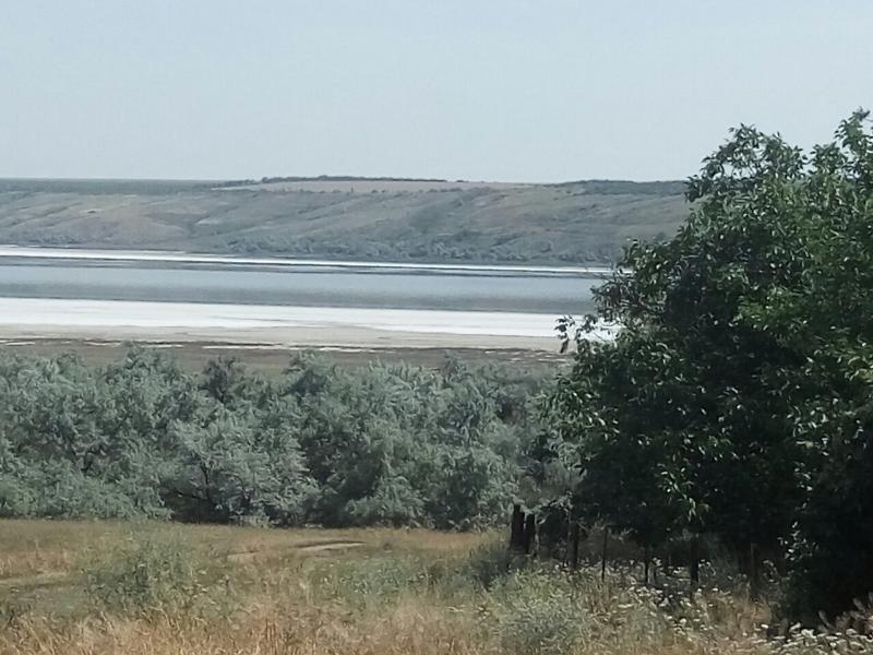 https://photo.capital.com.ua/foto_d/d55031314908.jpg
