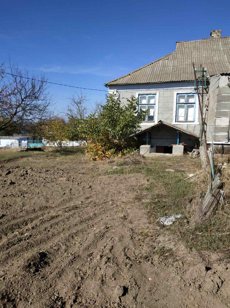 https://photo.capital.com.ua/foto_d/d55031315631.jpg