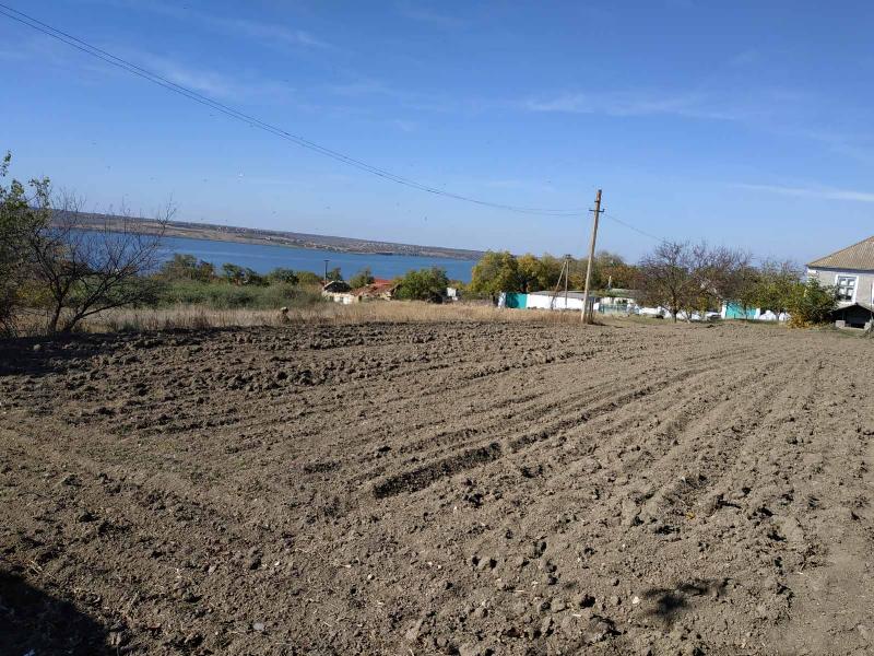 https://photo.capital.com.ua/foto_d/d55031315634.jpg