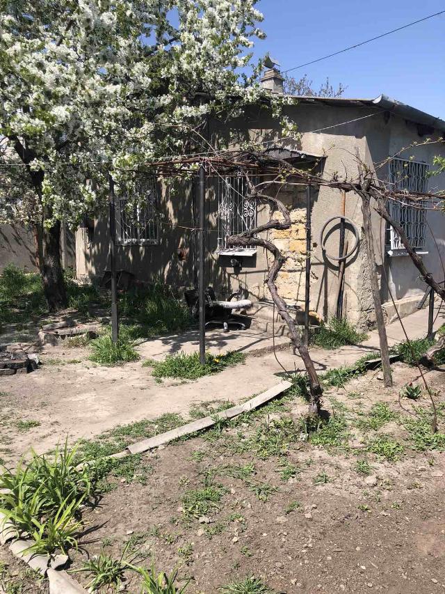 https://photo.capital.com.ua/foto_d/d5504278101.jpg