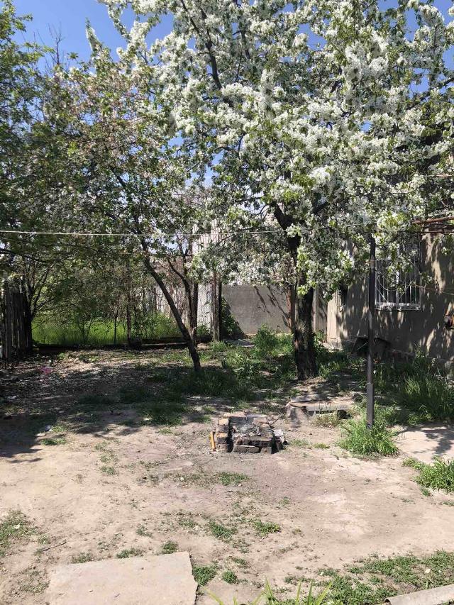 https://photo.capital.com.ua/foto_d/d5504278103.jpg