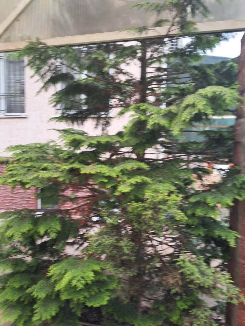 https://photo.capital.com.ua/foto_d/d5506625302.jpg