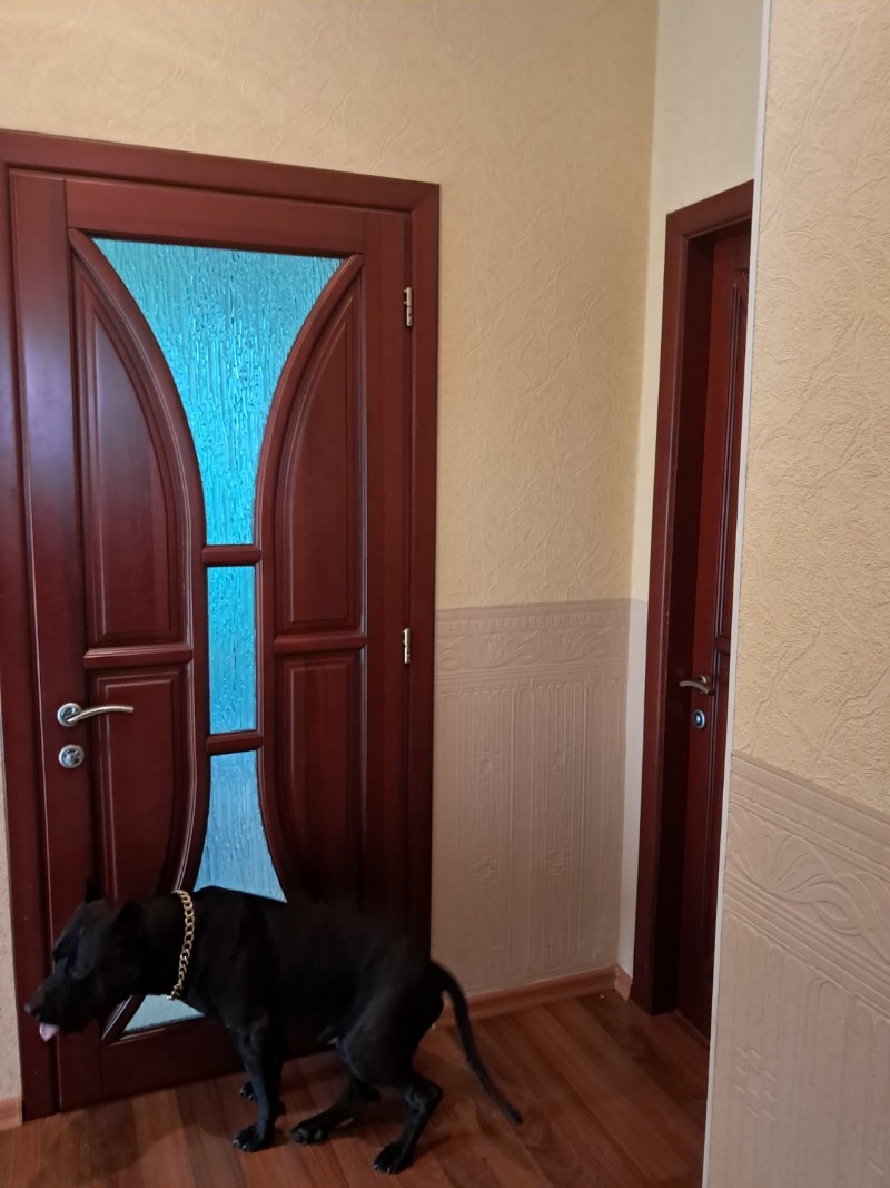 https://photo.capital.com.ua/foto_d/d5506625319.jpg