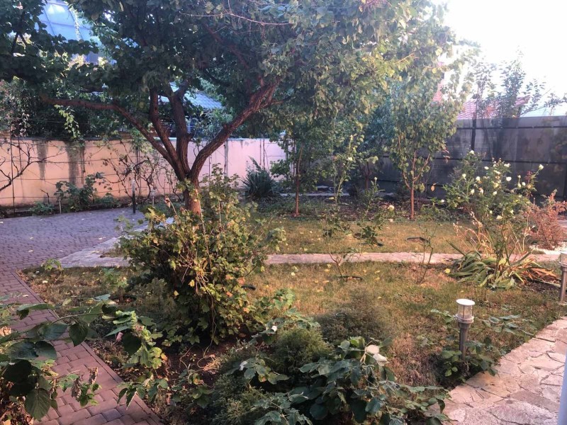 https://photo.capital.com.ua/foto_d/d5506626101.jpg