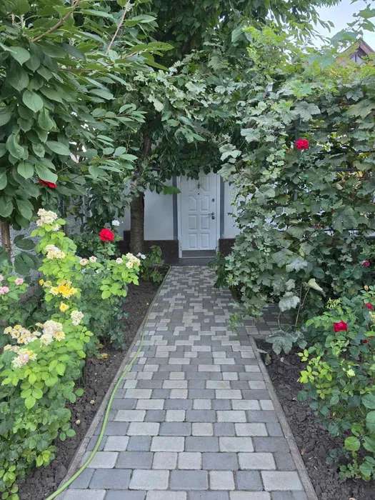 https://photo.capital.com.ua/foto_d/d5506626801.jpg