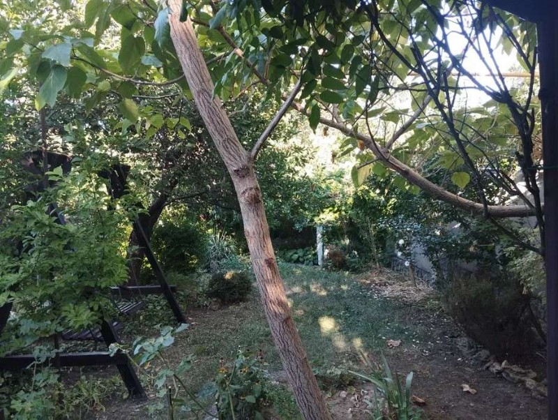 https://photo.capital.com.ua/foto_d/d5506626904.jpg