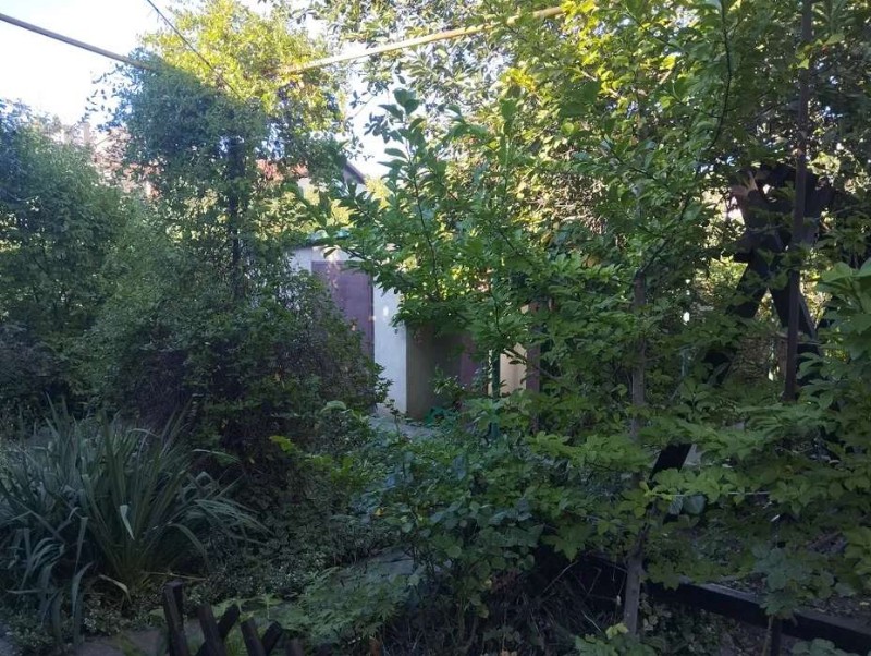 https://photo.capital.com.ua/foto_d/d5506626905.jpg