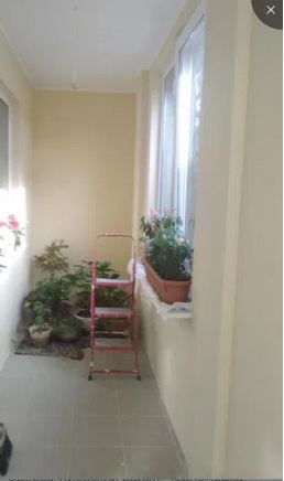 https://photo.capital.com.ua/foto_d/d55071031608.jpg