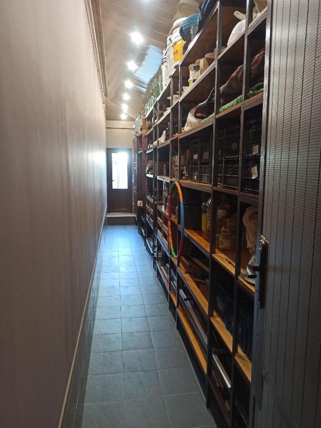https://photo.capital.com.ua/foto_d/d55071032206.jpg