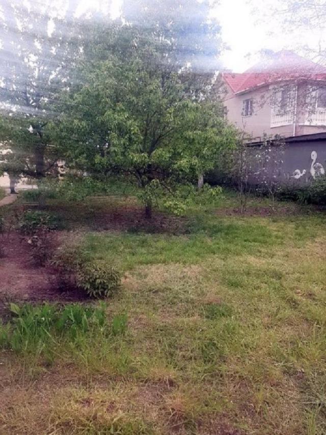 https://photo.capital.com.ua/foto_d/d55071036701.jpg
