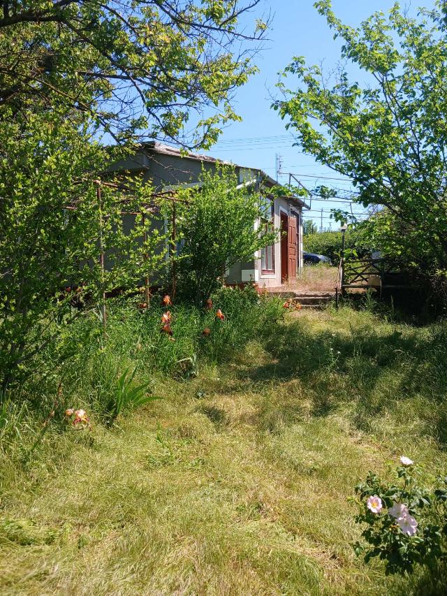 https://photo.capital.com.ua/foto_d/d55071038705.jpg