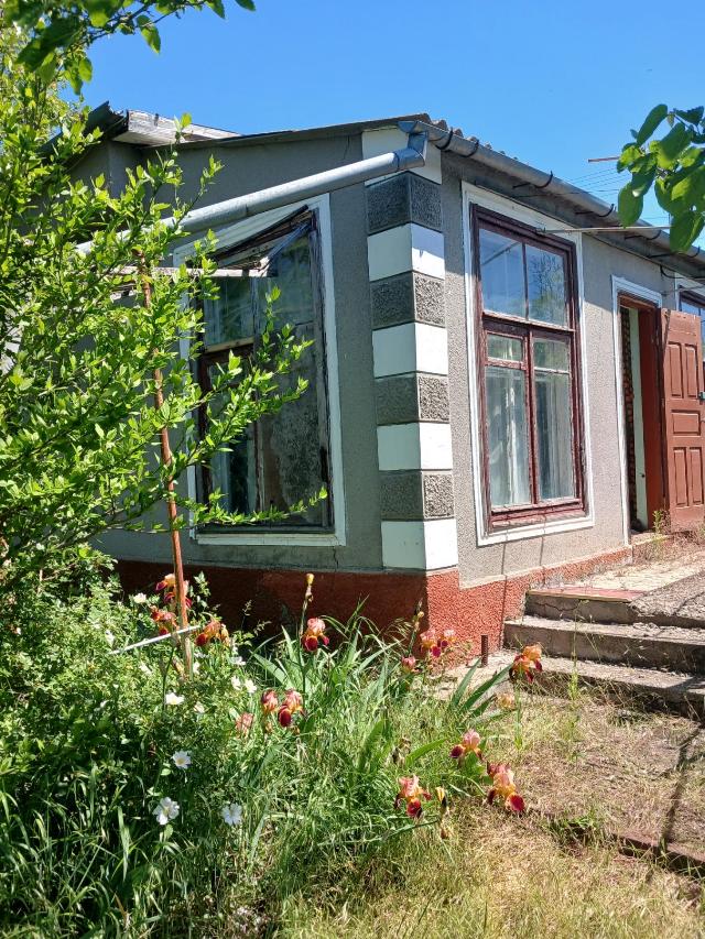 https://photo.capital.com.ua/foto_d/d55071038710.jpg