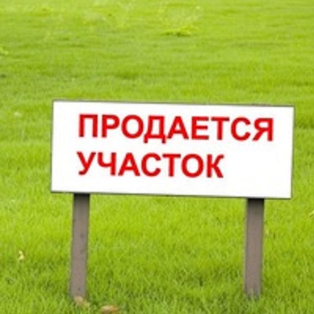 https://photo.capital.com.ua/foto_d/d5508475701.jpg