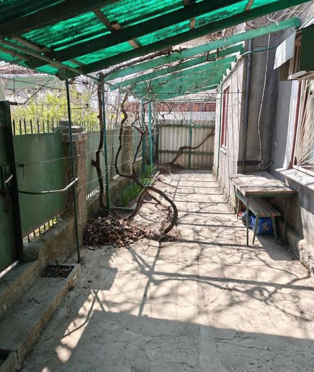 https://photo.capital.com.ua/foto_d/d55112046701.jpg