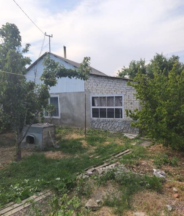 https://photo.capital.com.ua/foto_d/d55112047325.jpg