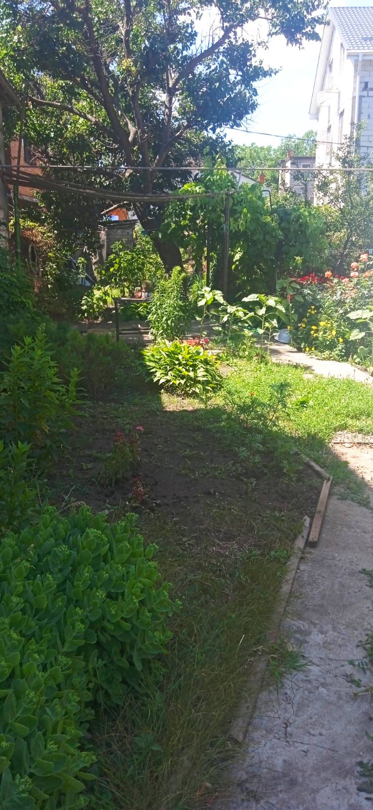 https://photo.capital.com.ua/foto_d/d5514692501.jpg
