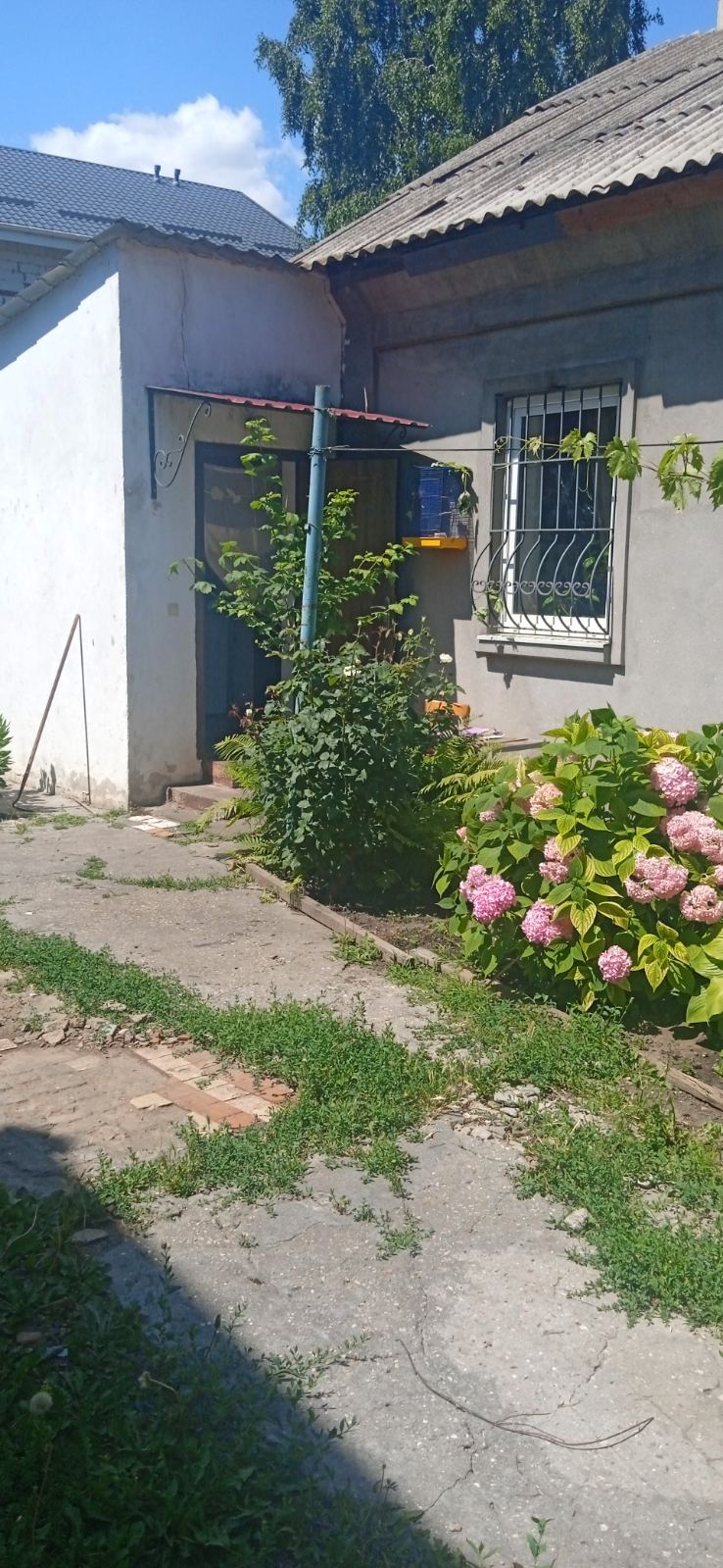 https://photo.capital.com.ua/foto_d/d5514692503.jpg