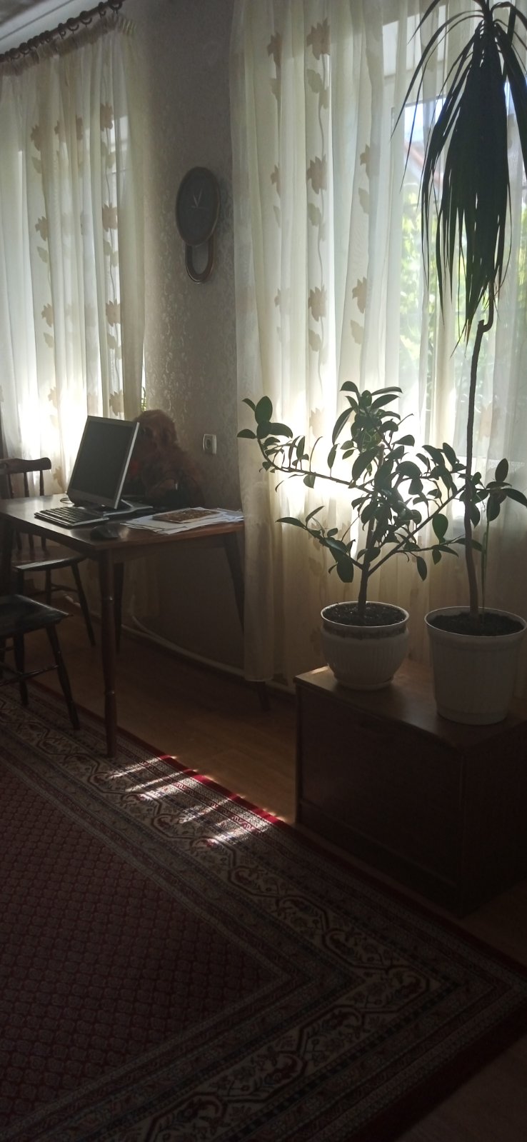 https://photo.capital.com.ua/foto_d/d5514692510.jpg