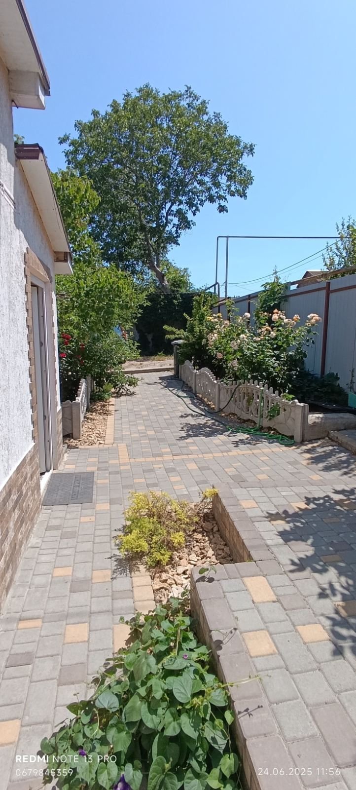 https://photo.capital.com.ua/foto_d/d5514692616.jpg