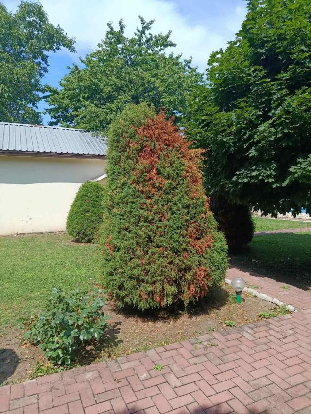 https://photo.capital.com.ua/foto_d/d55151515722.jpg
