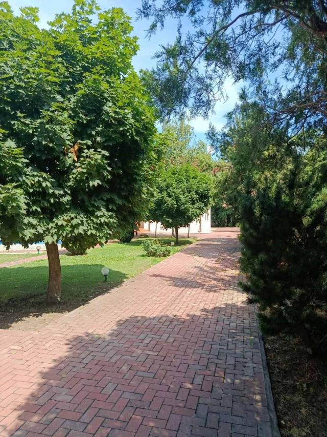 https://photo.capital.com.ua/foto_d/d55151515724.jpg