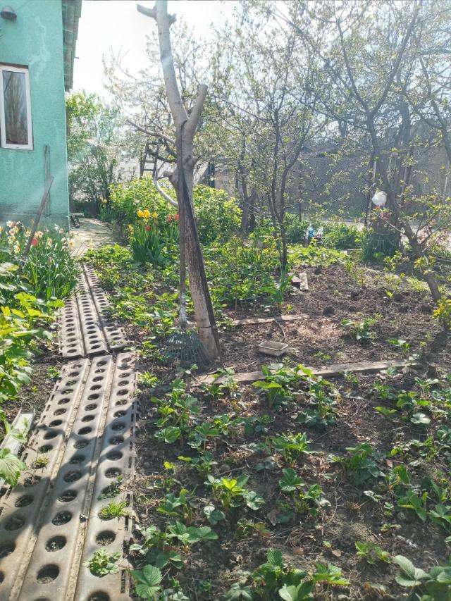 https://photo.capital.com.ua/foto_d/d55151517307.jpg